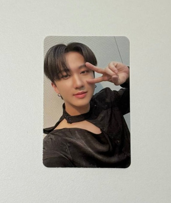 Stray Kids Changbin photocards [Green Project]