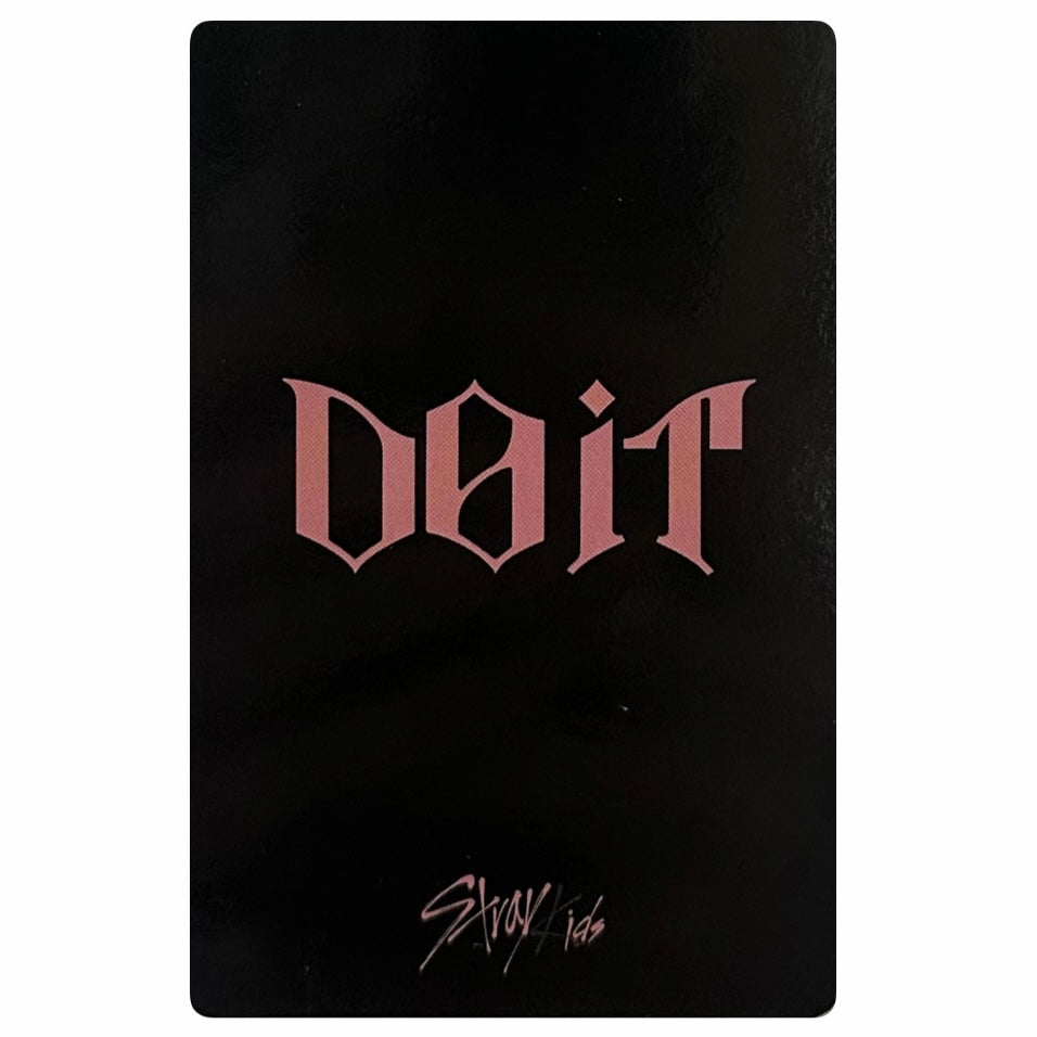 Stray Kids Aladin POB Photocards [Do It]