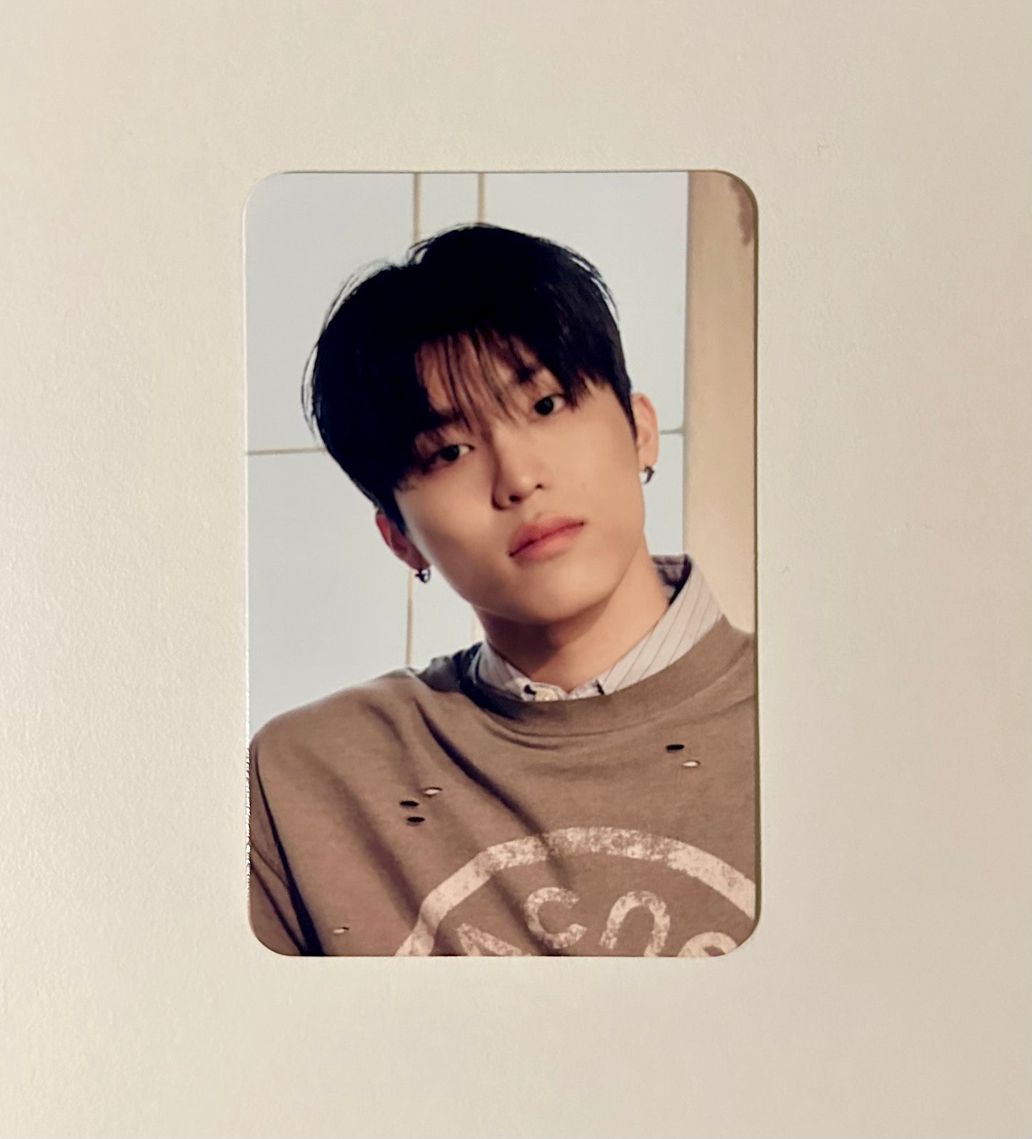 Treasure Music Korea POB photocards [Pleasure]