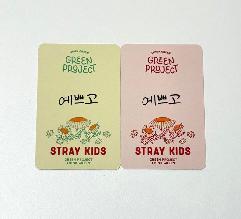 Stray Kids Changbin photocards [Green Project]