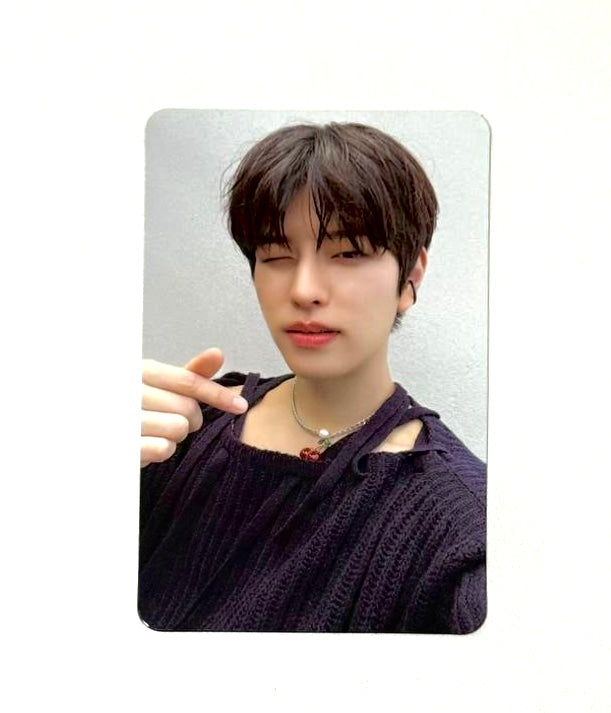 Stray Kids photocards [Maxident]