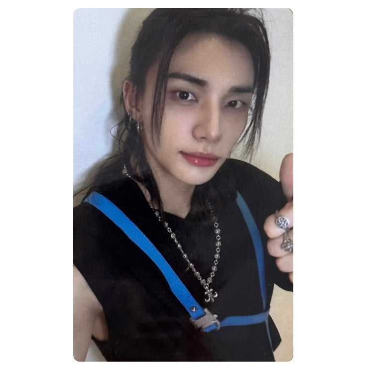 Stray Kids Fans Shop POB Photocards [This & That]