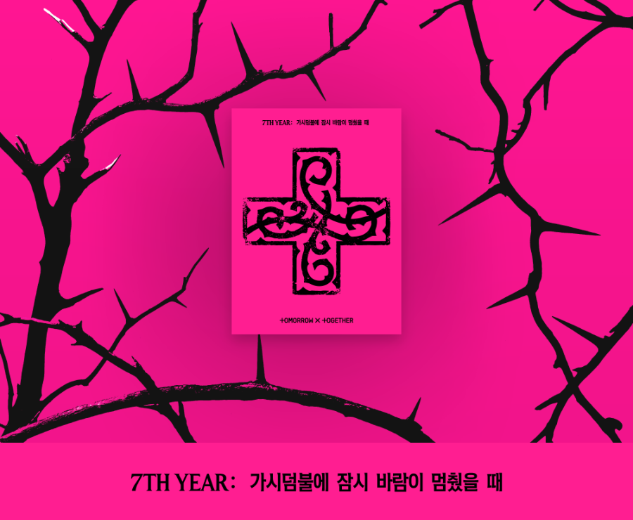 TXT - 7TH YEAR: A MOMENT OF STILLNESS IN THE THORNS[PPULBARU VER.]