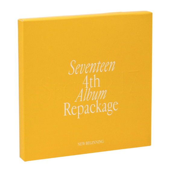 SEVENTEEN - SECTOR 17