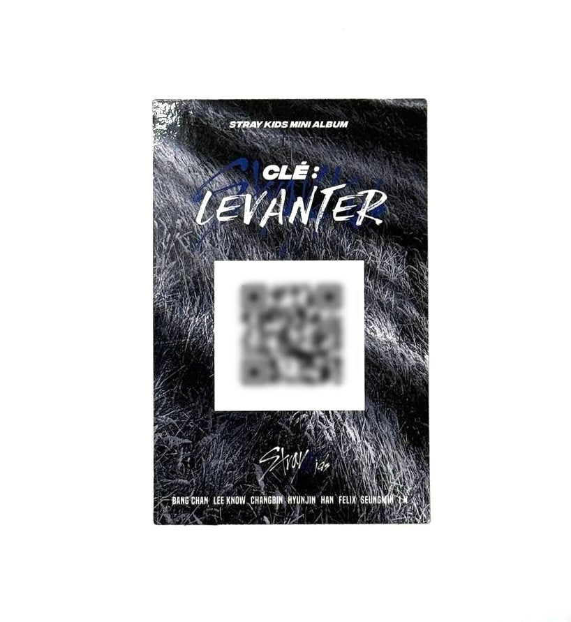 Stray Kids Changbin blue frame photocard [Levanter]