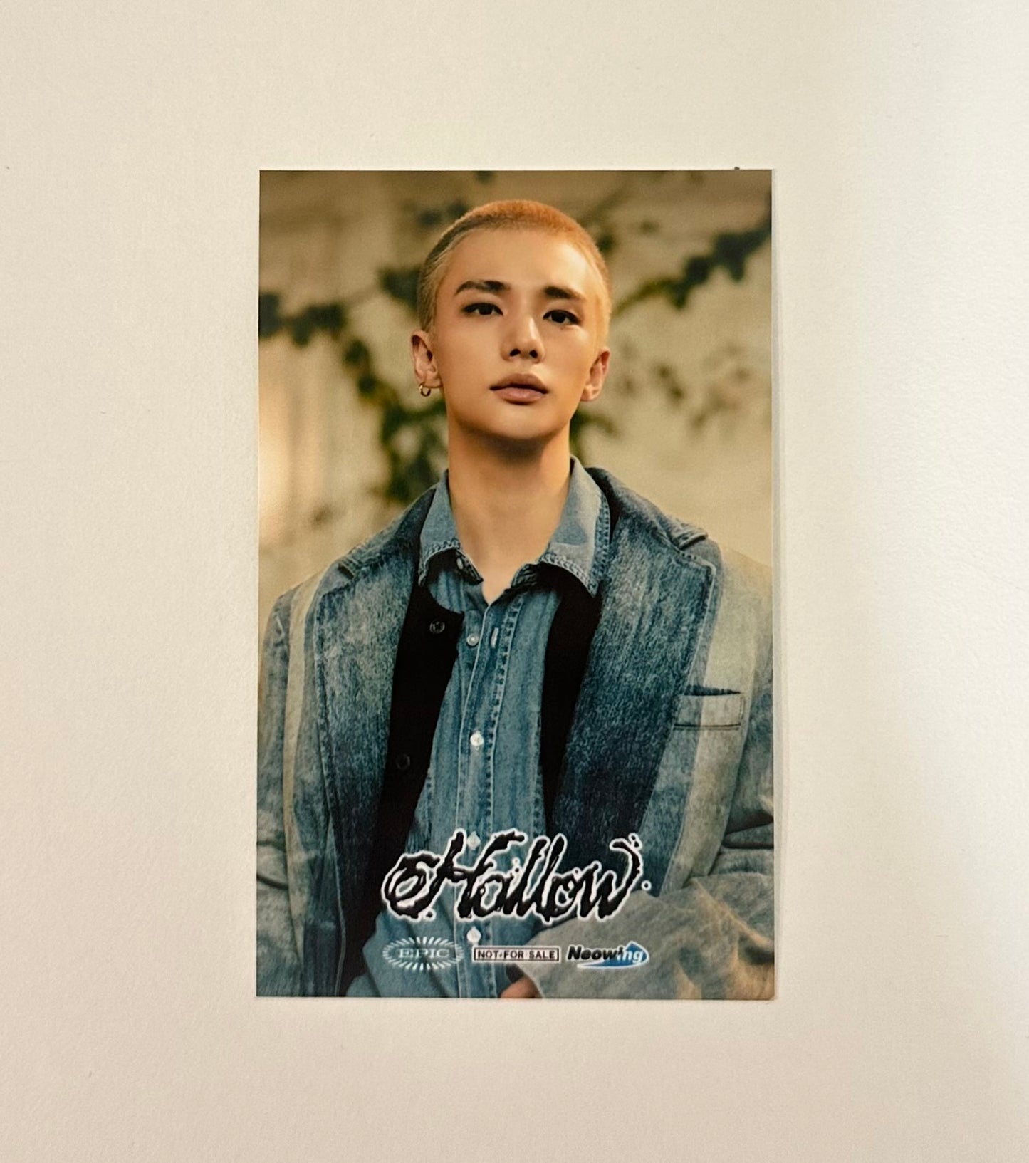 Stray Kids Neowing POB photocards [Hollow]