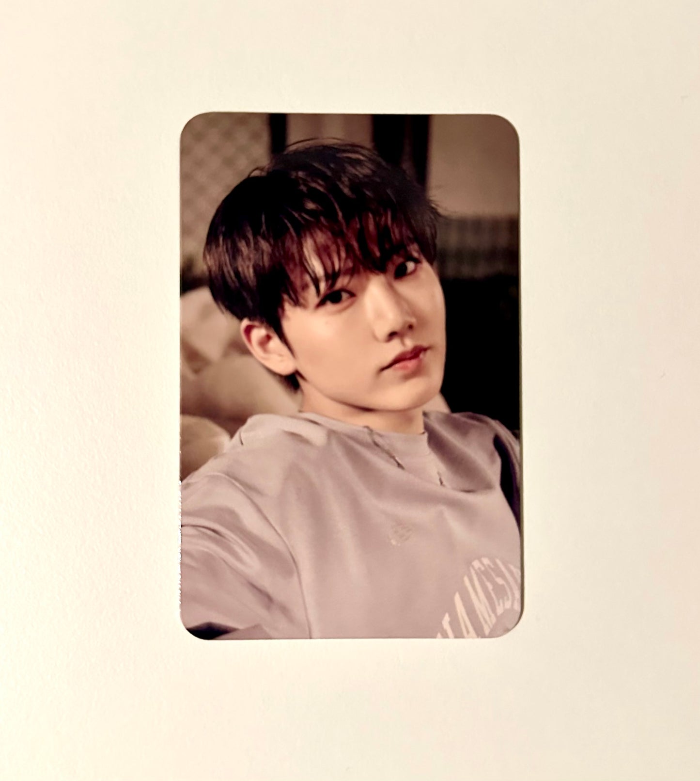 Treasure Music Korea POB photocards [Pleasure]