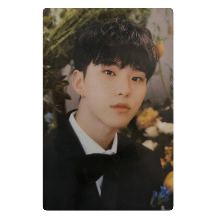 Seventeen Hoshi Fotokartes [FML (Carat Ver.)]