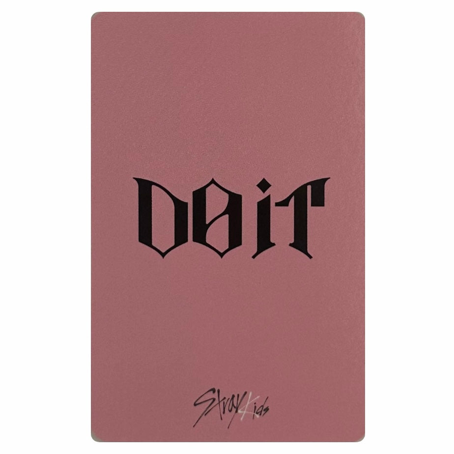 Stray Kids Yes24 POB Fotokartes [Do It]
