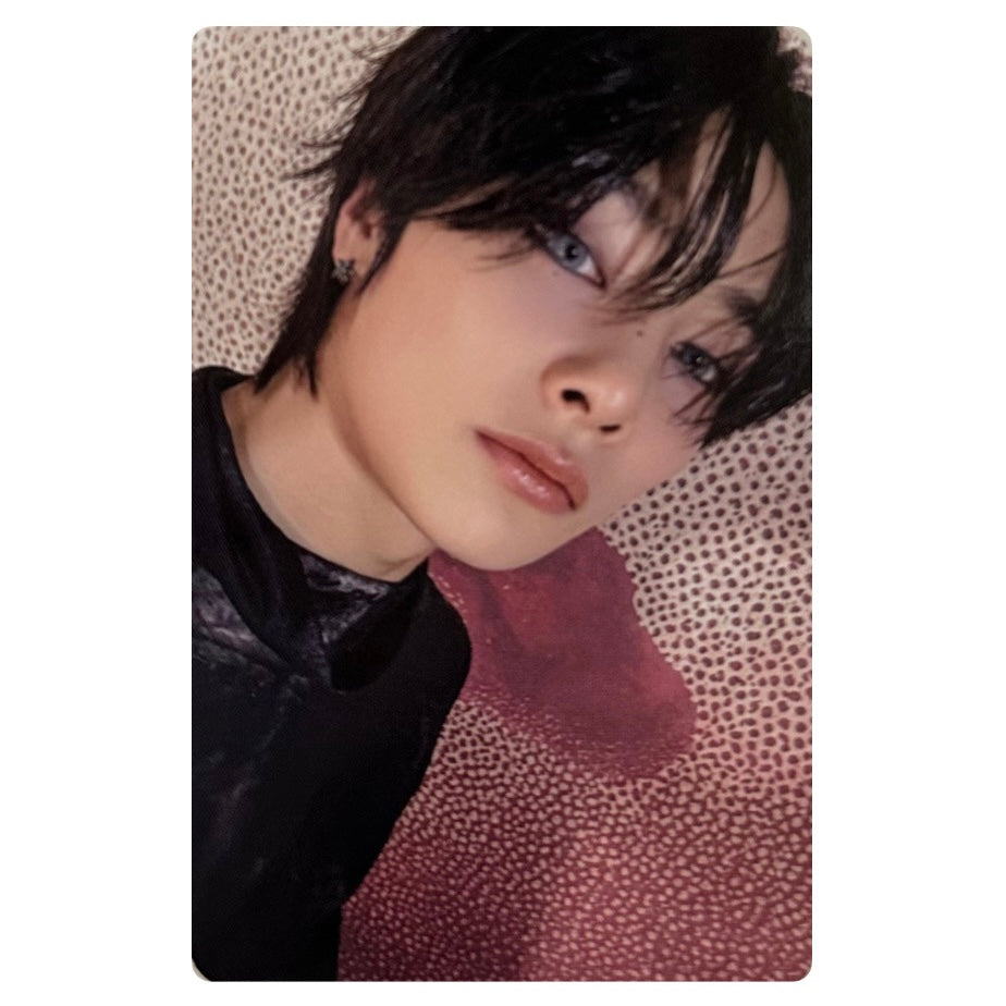 Stray Kids Music Korea POB Fotokartes [Do It]