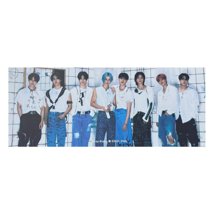 Stray Kids Panorāmas Mini Plakāts [Rock Star]