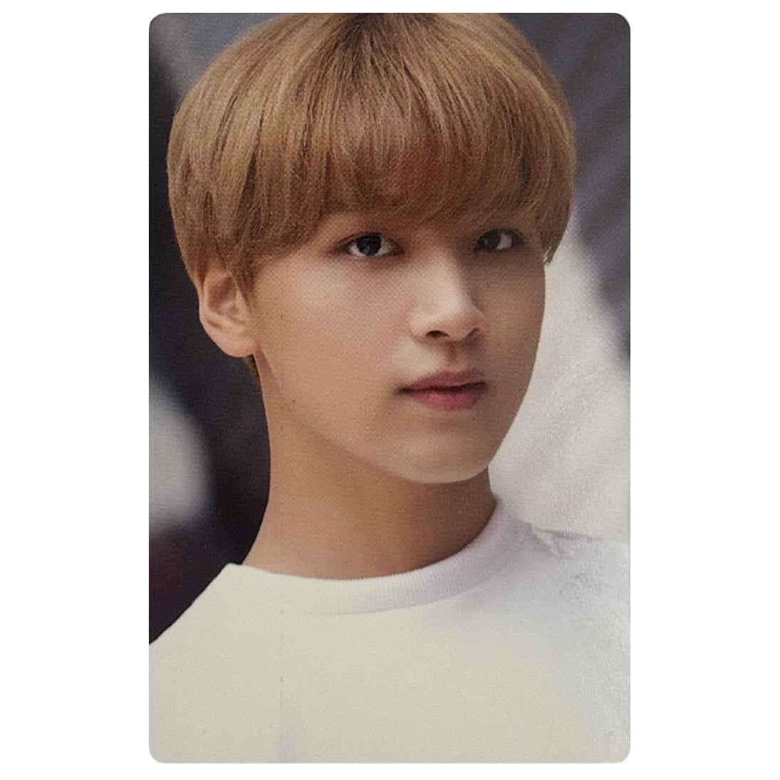 NCT 127 Fotokartes [DICON]