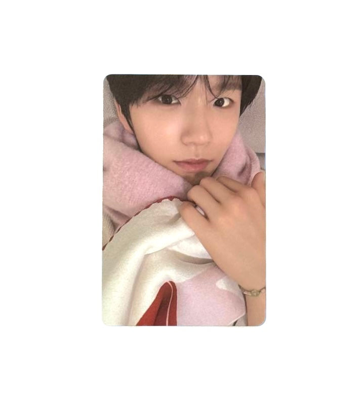 NCT photocards [Pink Christmas]