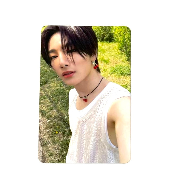 Stray Kids photocards [Maxident]