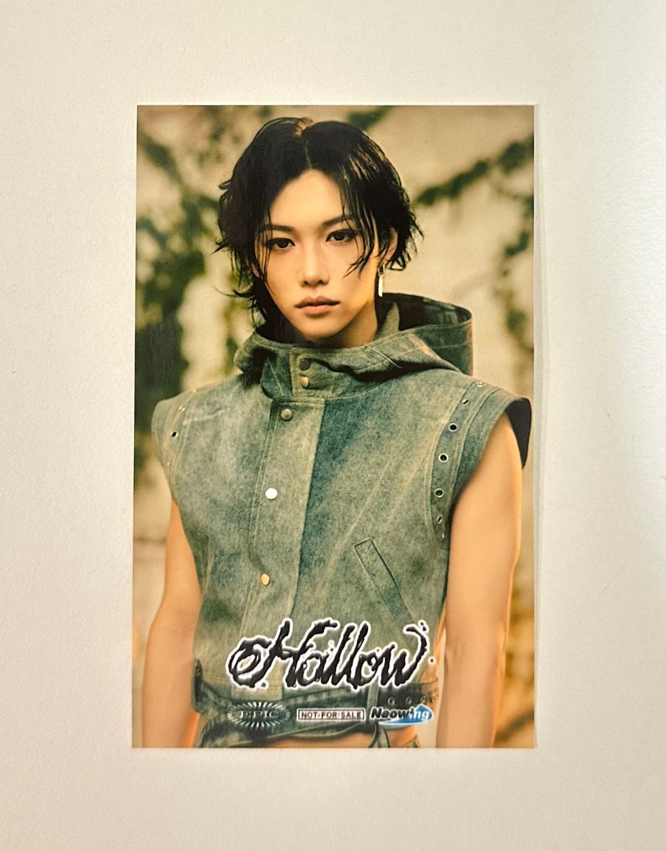 Stray Kids Neowing POB photocards [Hollow]