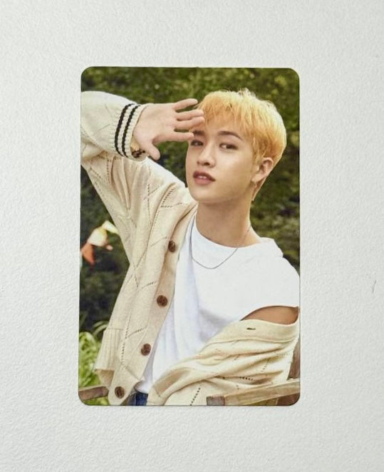 Stray Kids photocards [Nacific]