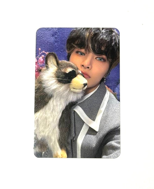 Stray Kids I.N photocard [Magic School Fanmeeting Stay Zone ]