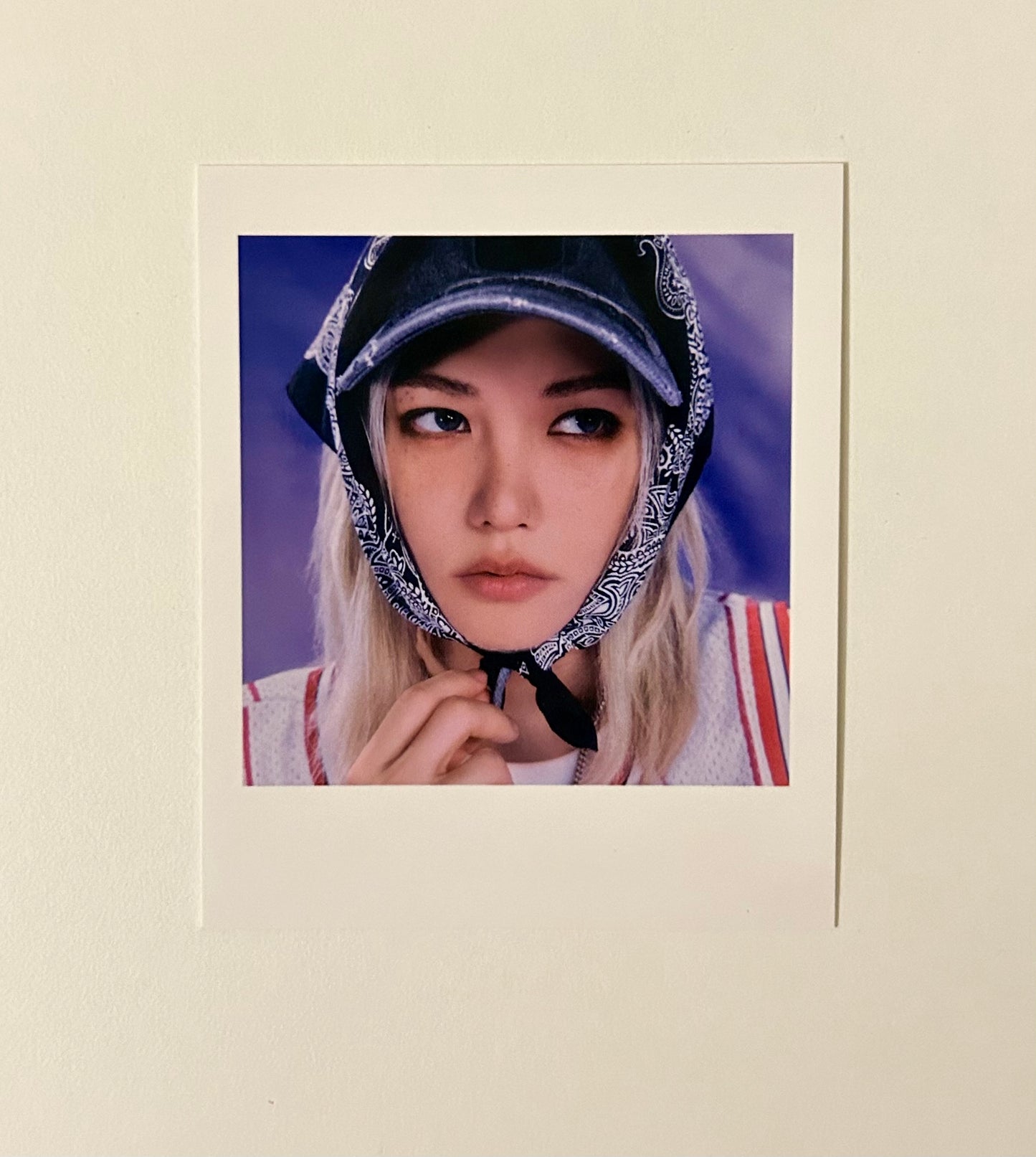 Stray Kids 2025 Season's Greetings Ktown4u polaroid [The Street Kids]