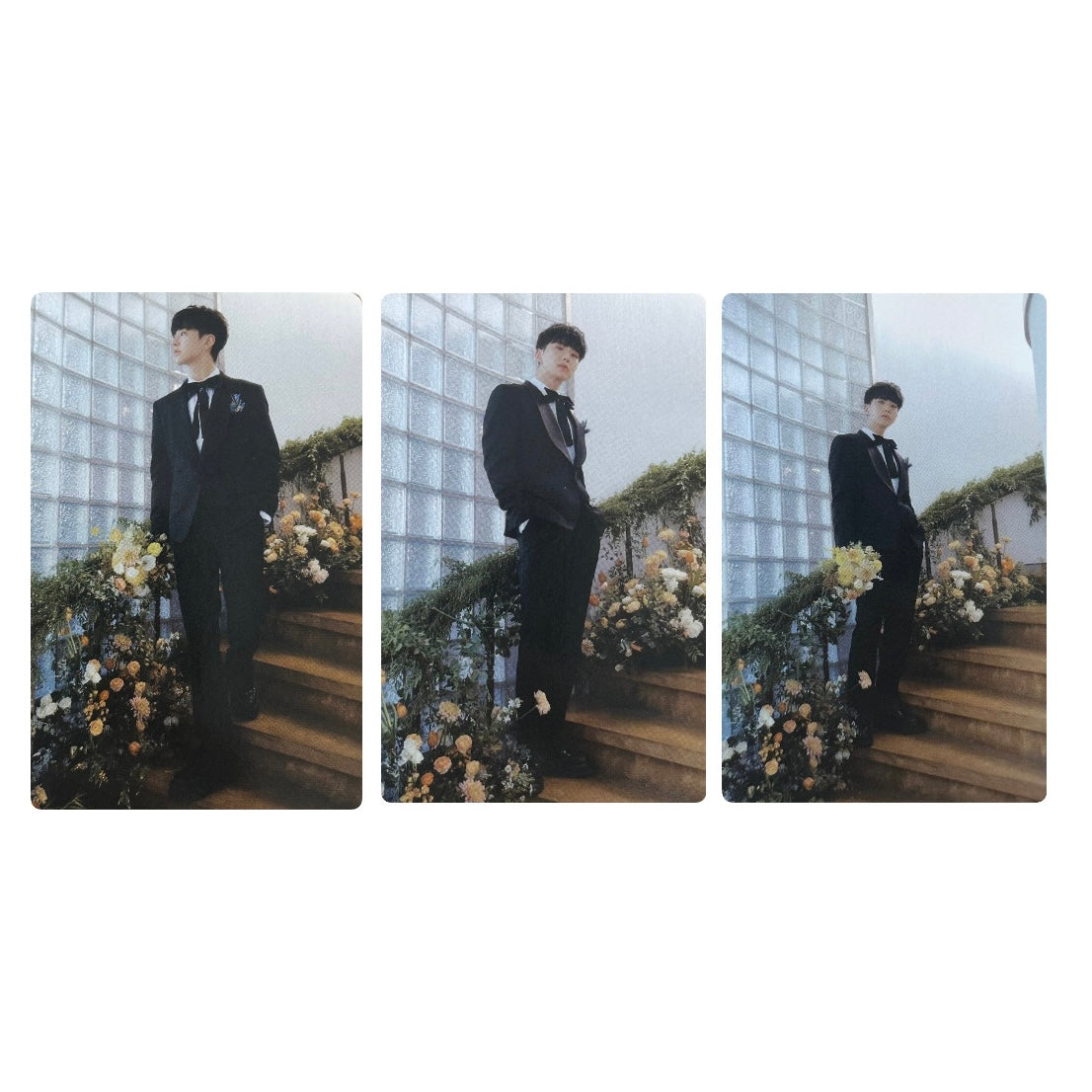 Seventeen Hoshi Fotokartes [FML (Carat Ver.)]