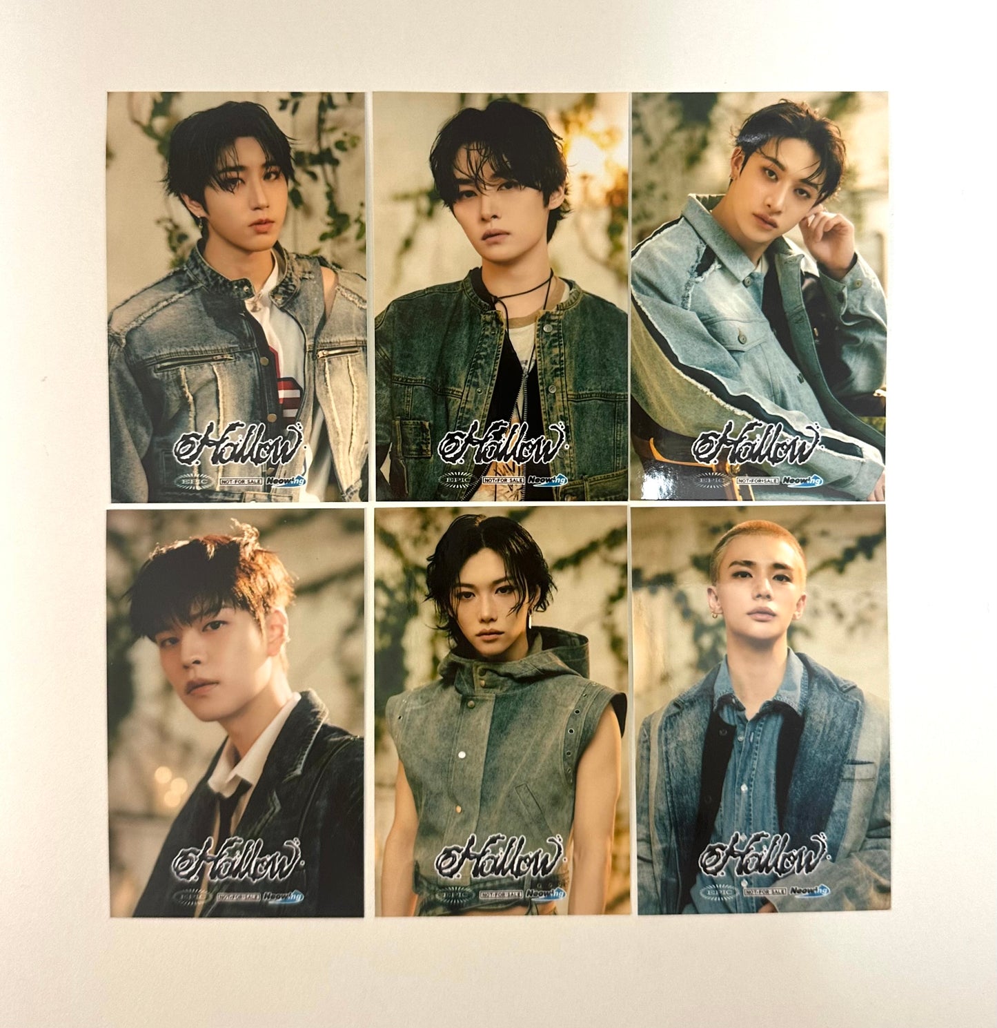 Stray Kids Neowing POB photocards [Hollow]