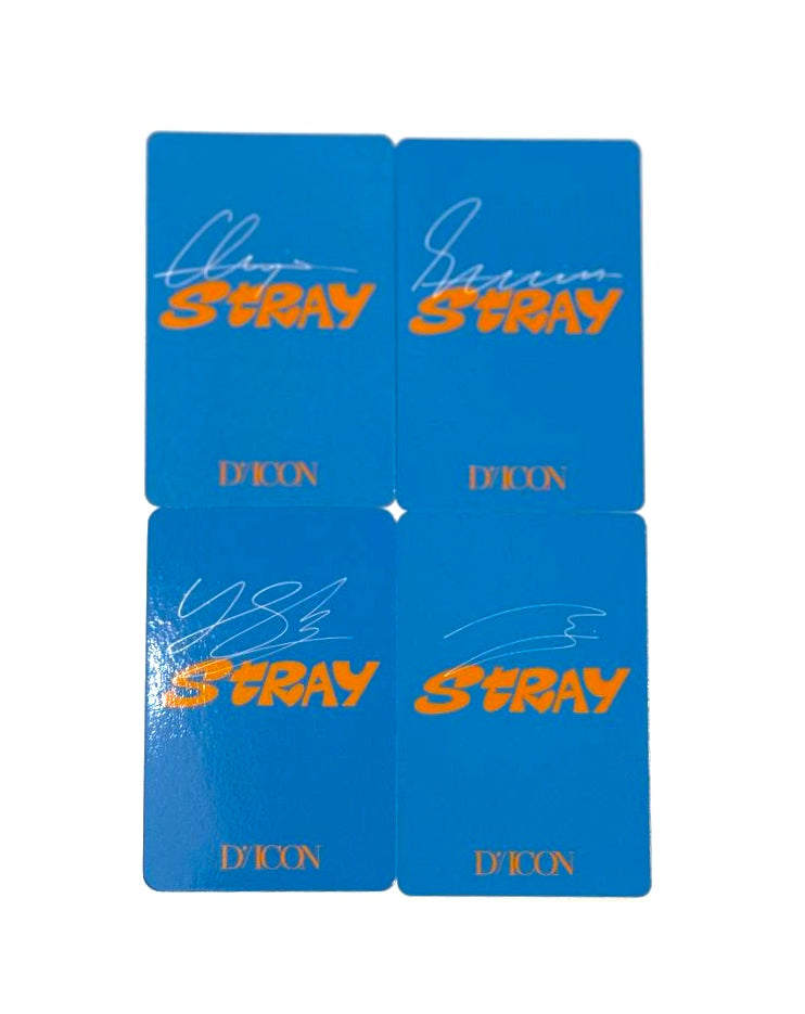 Stray Kids photocards [Dicon]