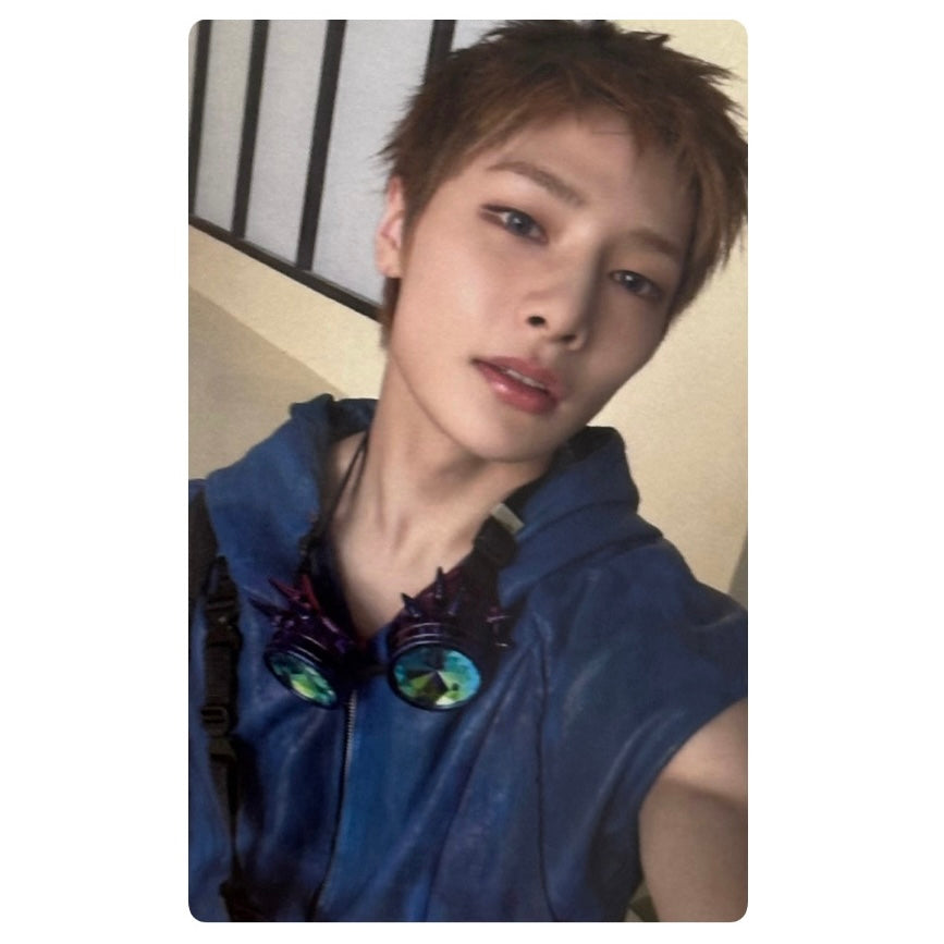 Stray Kids Fans Shop POB Photocards [This & That]