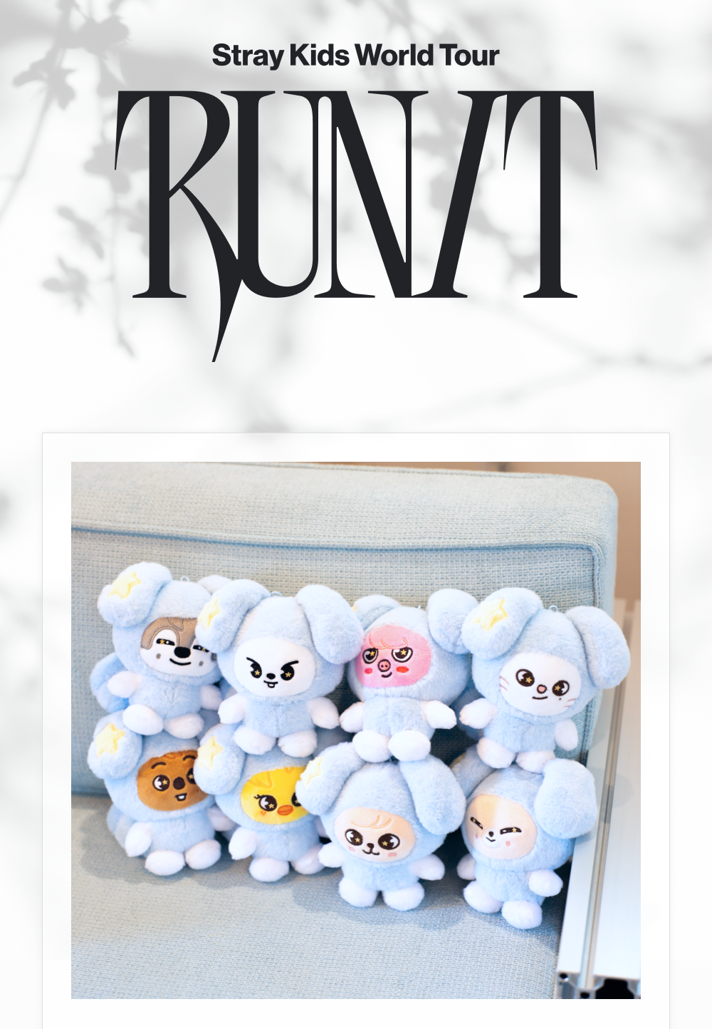 STRAY KIDS - 2026 WORLD TOUR : RUN IT [SKZOO PLUSH IN TASY VER.]