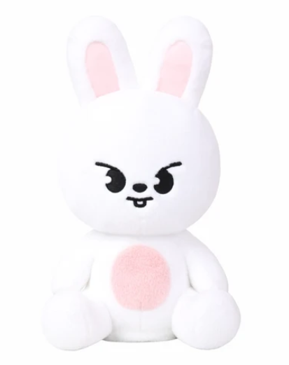 STRAY KIDS - 2026 WORLD TOUR : RUN IT [SKZOO PLUSH DANCING VER.]