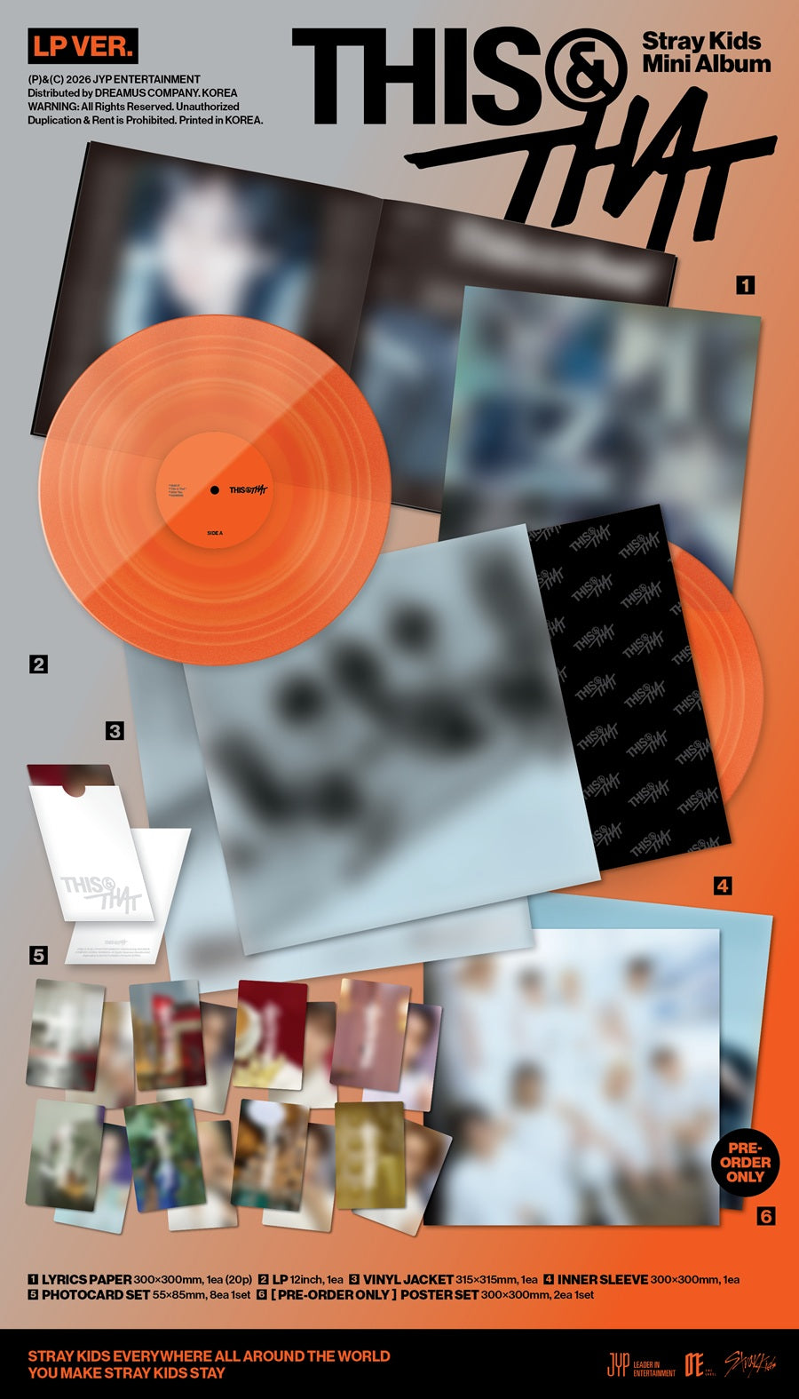 STRAY KIDS - THIS & THAT [LP VER.] (LIMITED)